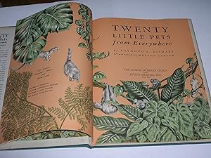 Imagen del vendedor de Twenty Little Pets from Everywhere a la venta por Bookstore Brengelman