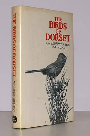 Imagen del vendedor de The Birds of Dorset. NEAR FINE COPY IN UNCLIPPED DUSTWRAPPER a la venta por Island Books