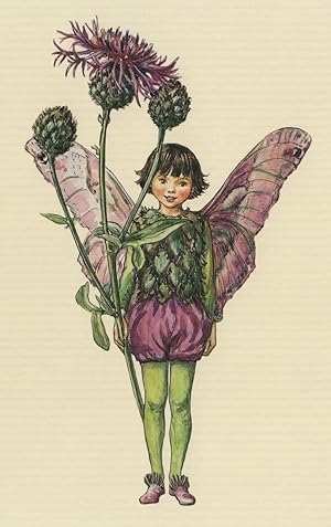 Immagine del venditore per Greater Knapweed Flower Fairy Old Book Stunning Postcard venduto da Postcard Finder