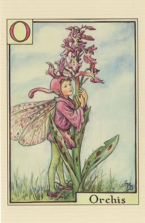 Immagine del venditore per Orchis Fairy Of Flower Fairies Antique Book Stunning Postcard venduto da Postcard Finder