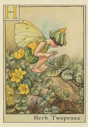 Immagine del venditore per Herb Twopence Fairy of Childrens Flower Fairies Book Stunning Postcard venduto da Postcard Finder