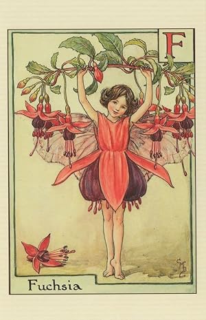 Immagine del venditore per Fuchsia Ferry of Antique Flower Fairies Book Stunning Postcard venduto da Postcard Finder