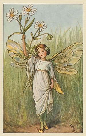 Immagine del venditore per Stitchwort Flower Fairy Antique Book Stunning Postcard venduto da Postcard Finder