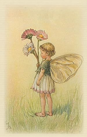Daisy Flower Fairy Fairies Antique Book Stunning Postcard