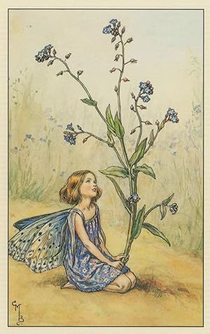 Immagine del venditore per The Forget Me Not Flower Fairy Antique Book Postcard venduto da Postcard Finder