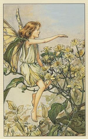 Immagine del venditore per The Travellers Joy Flower Fairy Old Book Stunning Postcard venduto da Postcard Finder