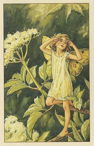 Immagine del venditore per Elder Flower Fairy From WW2 Book Stunning Postcard venduto da Postcard Finder