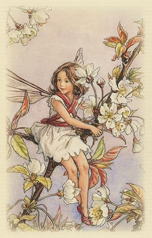 Wild Cherry Blossom Fairy From Flower Fairies WW2 Book Postcard