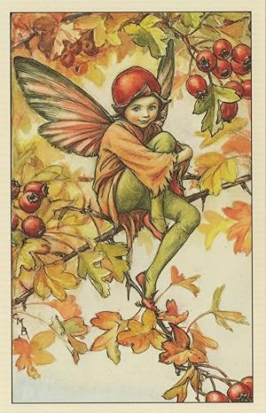 Immagine del venditore per Hawthorn Fairy Of Antique Flower Fairies Book Stunning Postcard venduto da Postcard Finder