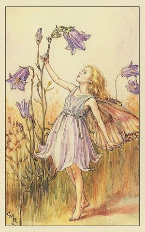 The Harebell Flower Fairy Vintage Book Stunning Postcard