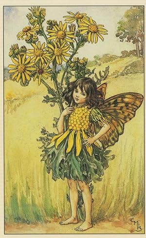 Immagine del venditore per The Ragwort Flower Fairy Old Book Stunning Postcard venduto da Postcard Finder