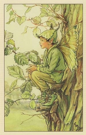 Elm Flower Fairy From WW2 Book Illustration Postcard