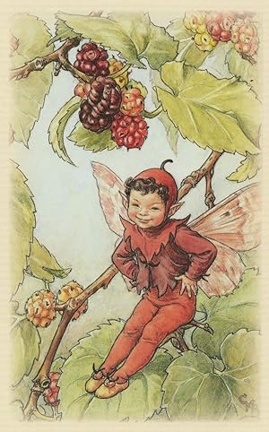 Immagine del venditore per Mulberry Flower Fairy Stunning WW2 Book Illustration Postcard venduto da Postcard Finder