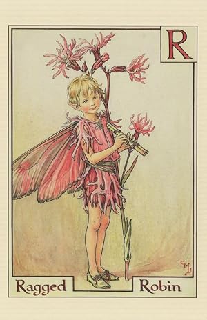 Ragged Robin Fairy from Flower Fairies 1930s Book Postcard