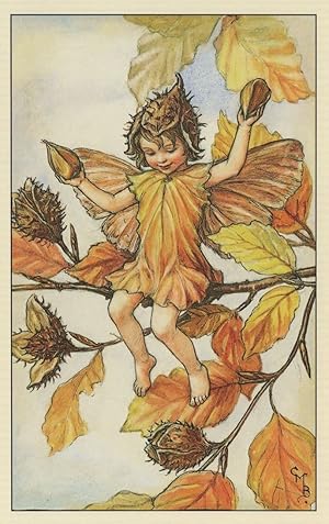 Immagine del venditore per Beechnut Fairy of Autumn Flower Fairies Antique Book Stunning Postcard venduto da Postcard Finder