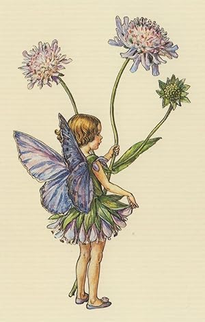 Immagine del venditore per The Scabious Flower Fairy Old Book Stunning Postcard venduto da Postcard Finder