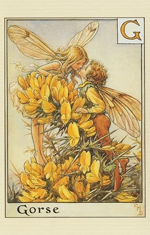 The Gorse Fairies Flower Fairy Alphabet Childrens Book Postcard