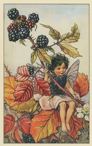 The Blackberry Fairy Antique Book Stunning Postcard