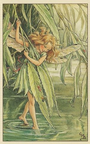 Willow Flower Fairy WW2 Book Painting Stunning Postcard