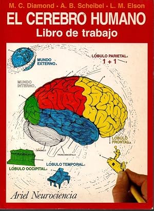 EL CEREBRO HUMANO. LIBRO DE TRABAJO.