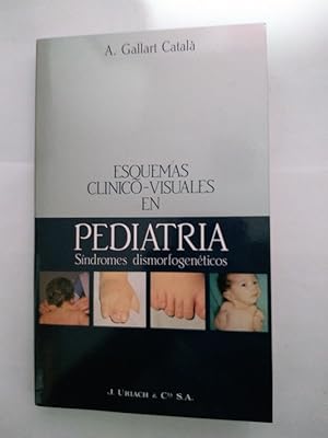 Imagen del vendedor de Esquemas Clinico   Visuales en Pediatria a la venta por Libros Ambig