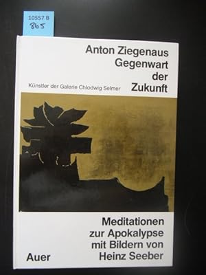 Gegenwart der Zukunft. Meditationen zur Apokalypse.