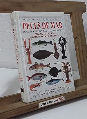 Guía de identificación: Peces de mar. Del Atlántico y del Mediterráneo