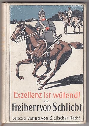 Seller image for Exzellenz ist wtend! Militrische Humoresken und Satyren. for sale by Antiquariat Burgverlag