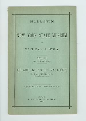 Seller image for White Grub of the May Beetle, 1888 Entomology Report by J. A. Lintner, New York State Museum of Natural History Bulletin No 5. Paperback Format. First Edition. for sale by Brothertown Books