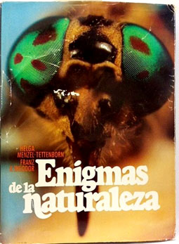 Enigmas De La Naturaleza