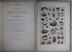 Bild des Verkufers fr Beitrag zur Kenntniss des Terrain  Chailles und seiner Zweischaler in der Umgebung von Pfirt im Ober-Elsass. Inaugural-Dissertation Universitt Strassburg. Erstausgabe mit Lebenslauf. zum Verkauf von Antiquariat Hanfgarten