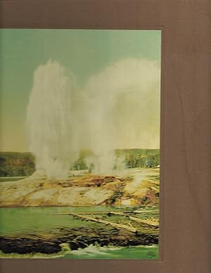 Seller image for American Photographers and the National Parks for sale by Cher Bibler