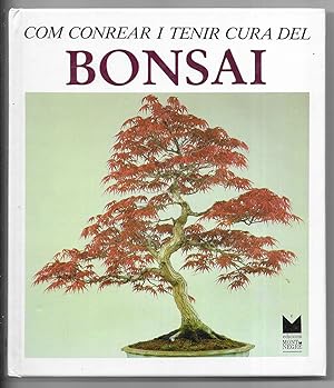 Com conrear i tenir cura del Bonsai