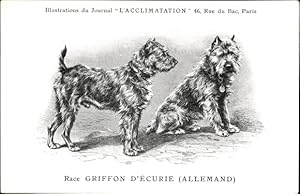 Künstler Ansichtskarte / Postkarte Hunderasse, Espèces Canines, Race Griffon d'Ecurie, Allemand