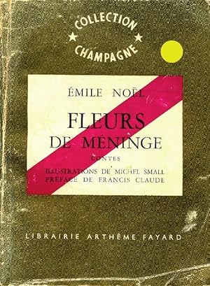 Fleurs de méninge - Emile Noël