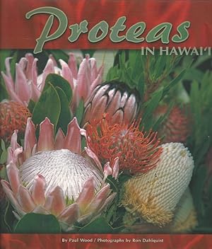 Proteas in Hawai'i.