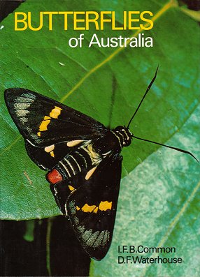 Image du vendeur pour Butterflies of Australia. mis en vente par Andrew Isles Natural History Books