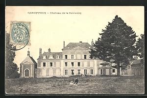 Carte postale Chauffour, Château de la Denisiere