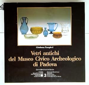 Bild des Verkufers fr Vetri antichi nelle collezioni del Museo Civico Archeologico di Padova zum Verkauf von Librodifaccia