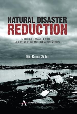 Seller image for Natural Disaster Reduction : South East Asian Realities, Risk Perception And Global Strategies for sale by GreatBookPrices