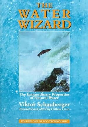 Image du vendeur pour The Water Wizard (Paperback) mis en vente par Grand Eagle Retail