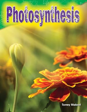 Seller image for Photosynthesis (Grade 3) (Paperback or Softback) for sale by BargainBookStores