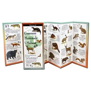 Image du vendeur pour Common Mammals of the Midwest (Bookbook - Detail Unspecified) mis en vente par BargainBookStores