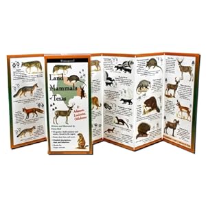 Bild des Verkufers fr Land Mammals of Texas (Bookbook - Detail Unspecified) zum Verkauf von BargainBookStores