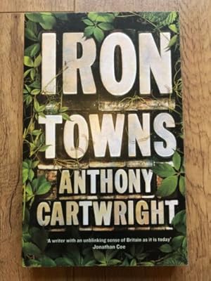 Imagen del vendedor de IRON TOWNS a la venta por Happyfish Books