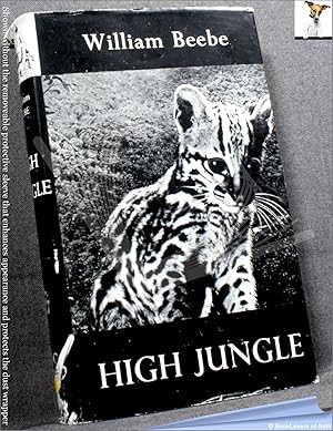 Seller image for High Jungle for sale by BookLovers of Bath