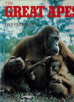 Seller image for The Great Apes for sale by Marlowes Books and Music