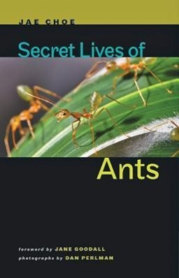 Bild des Verkufers fr Secret Lives of Ants zum Verkauf von moluna