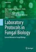 Bild des Verkufers fr Laboratory Protocols in Fungal Biology zum Verkauf von moluna