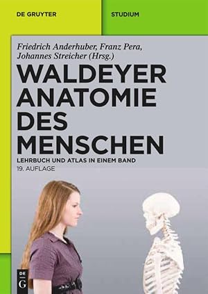 Bild des Verkufers fr Waldeyer - Anatomie des Menschen zum Verkauf von moluna